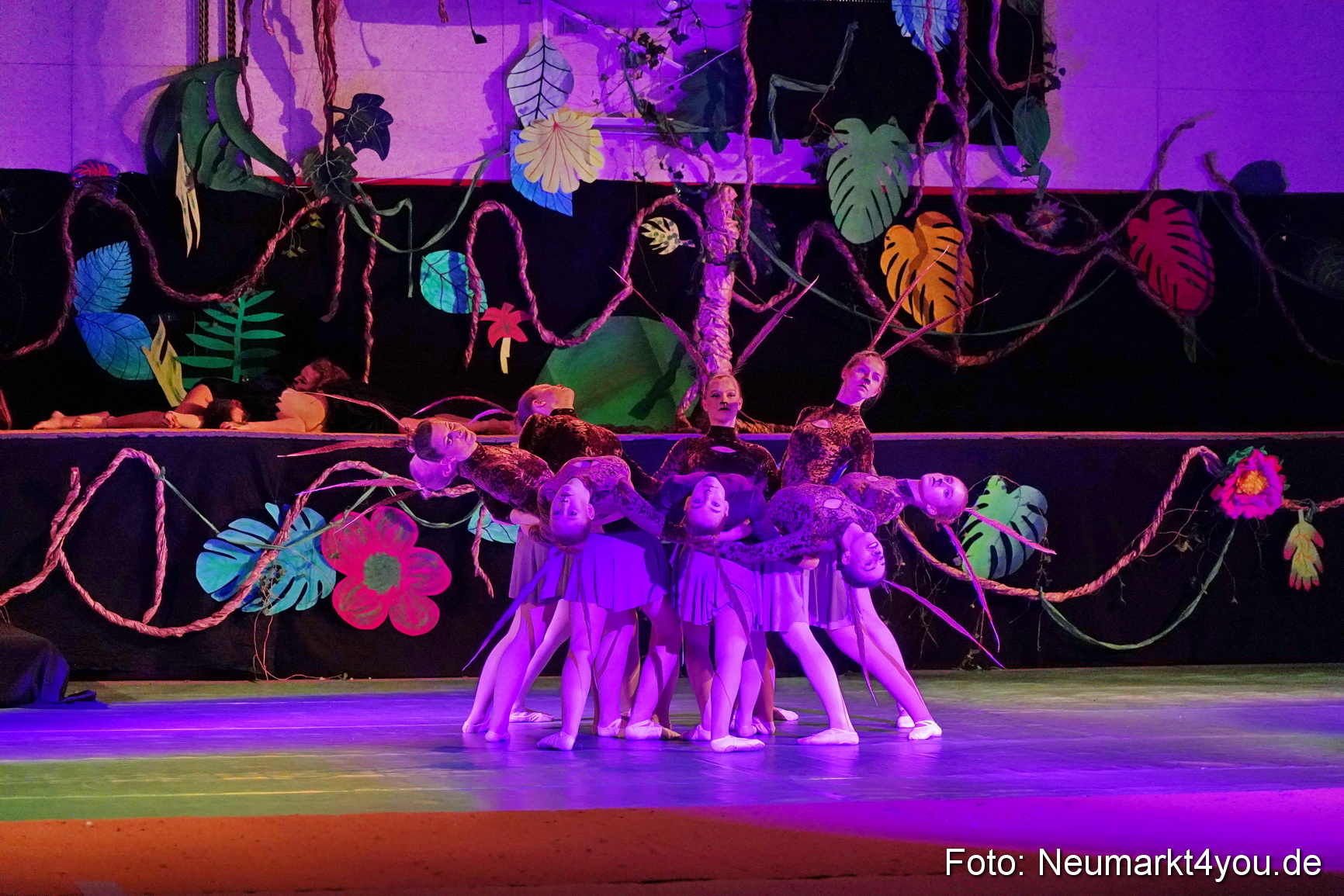 Artico Artistical Dschungelbuch 2020 0011